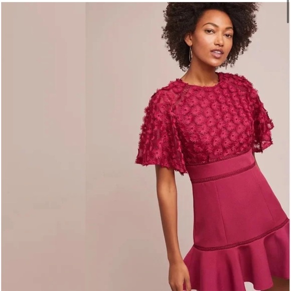 Beautiful Anthropologie rosabelle raspberry dress - Picture 1 of 7